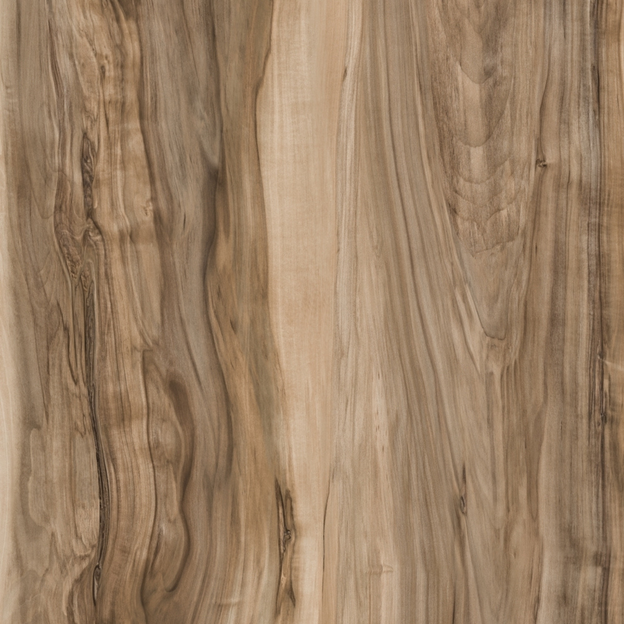 4525 I Indian Shesman