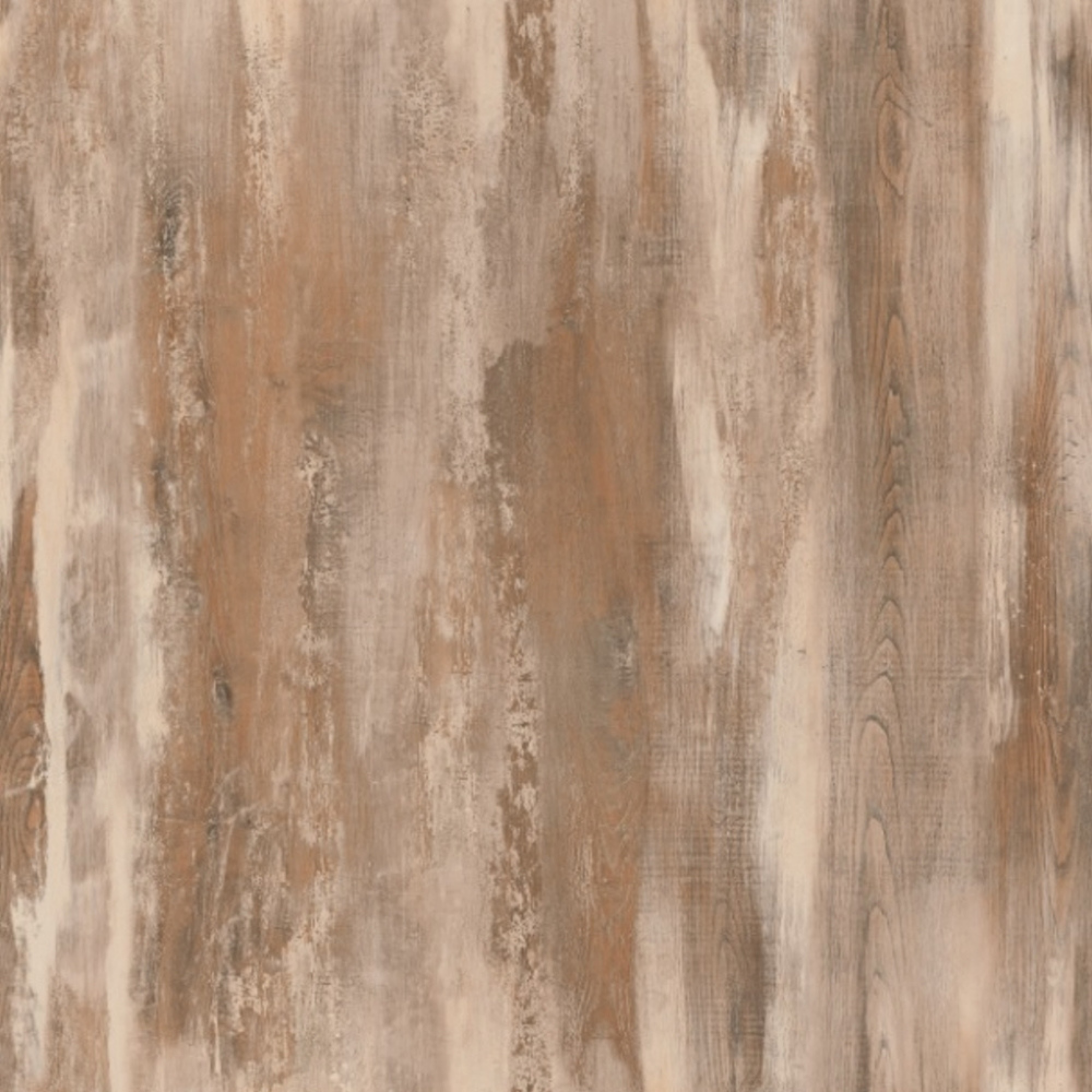 4622 I Iceland Oak 2